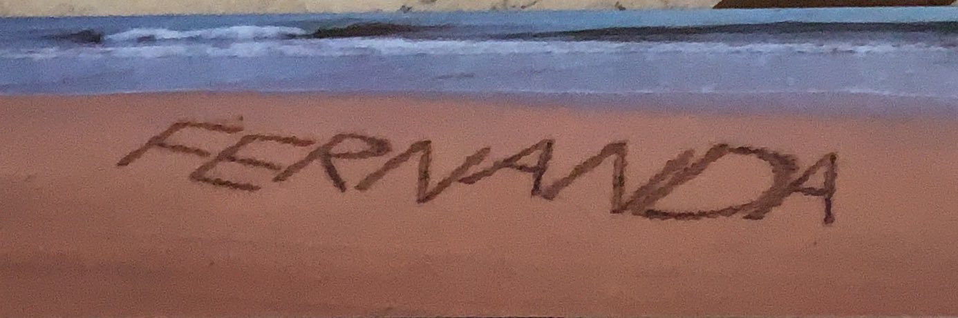fernanda banner