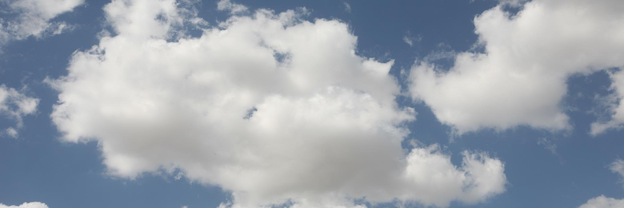 Rodrigo Nespolo banner