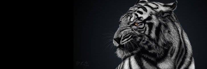 ilhnPars's profile banner image