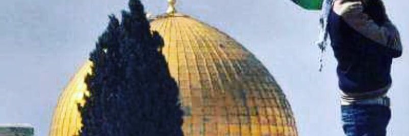 Amjad Hamed banner