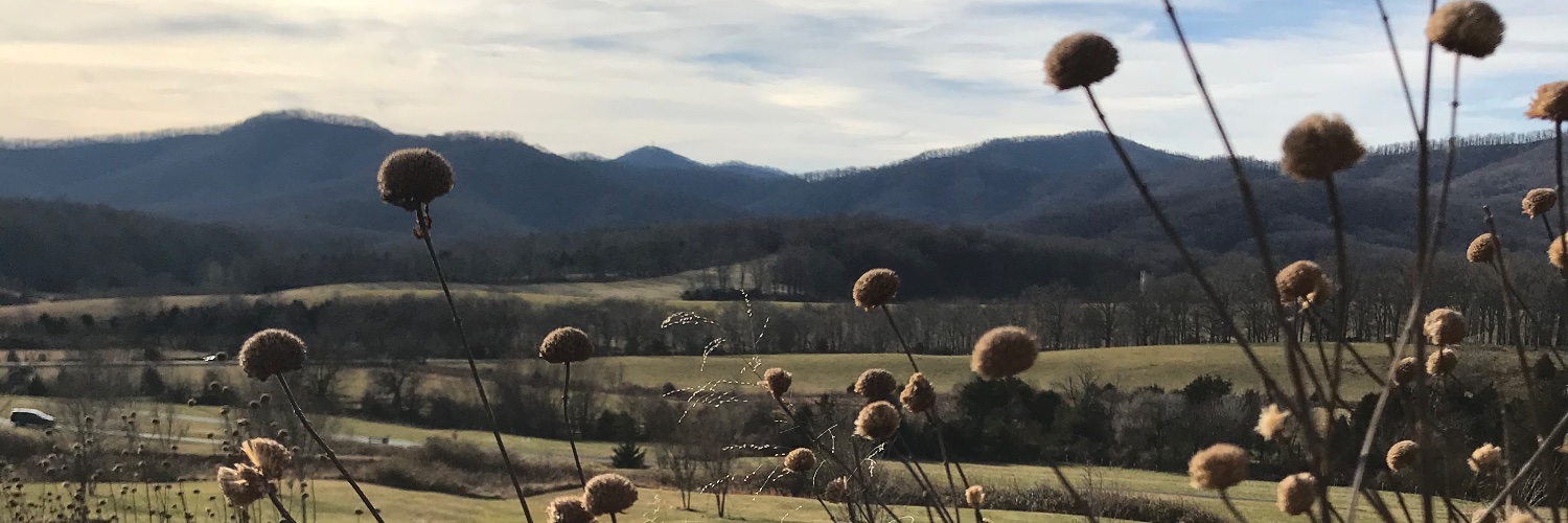 missslstone's profile banner image