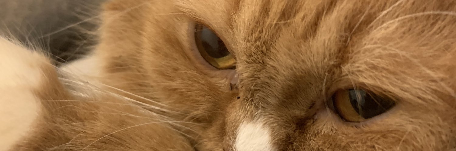 herneyvie's profile banner image