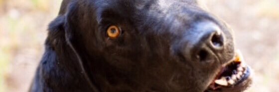 kikibialek's profile banner image