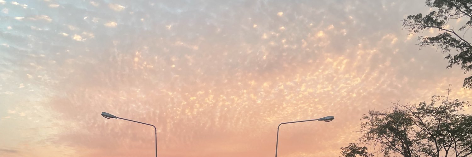 Pamm2541's profile banner image