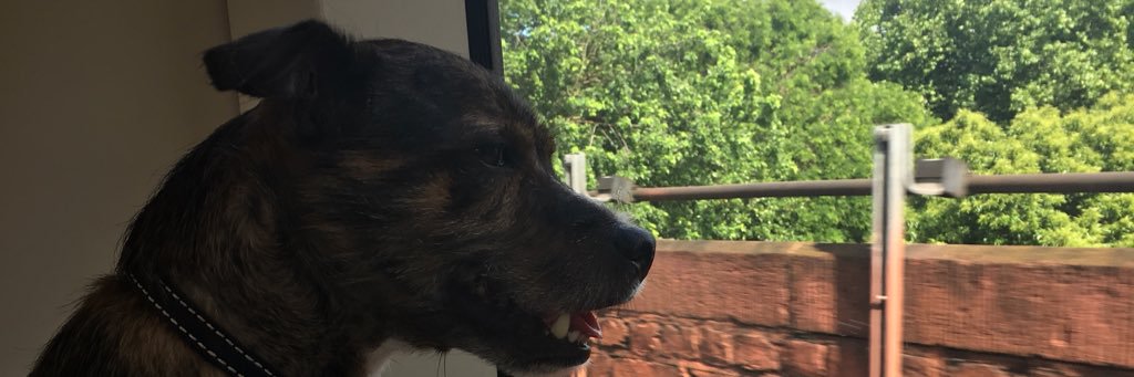 RossCon's profile banner image