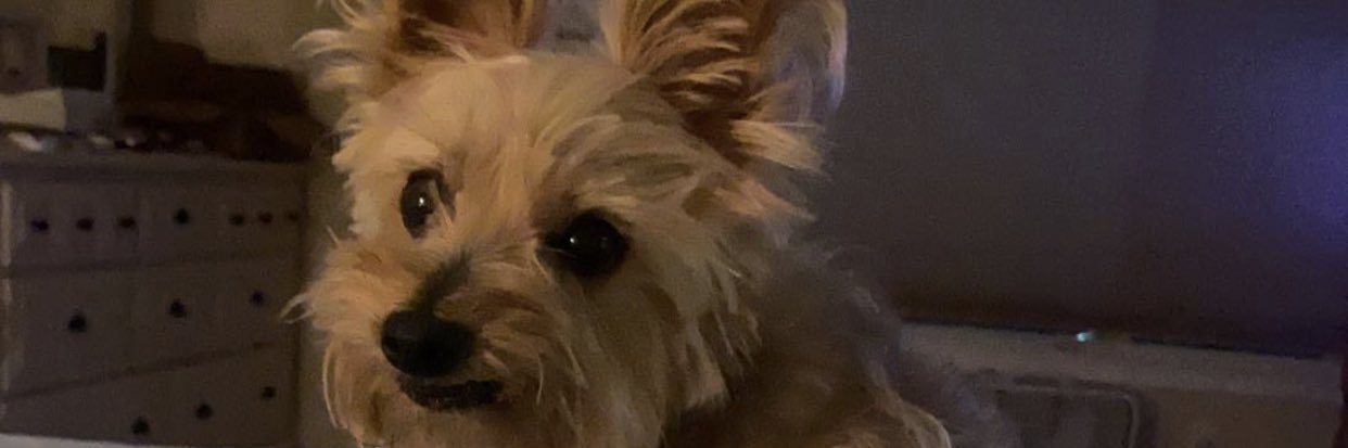 sydliz110's profile banner image