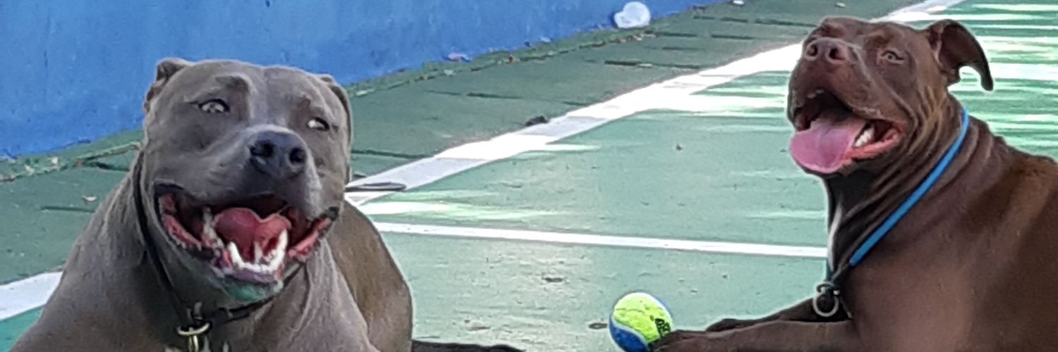 FPMello's profile banner image