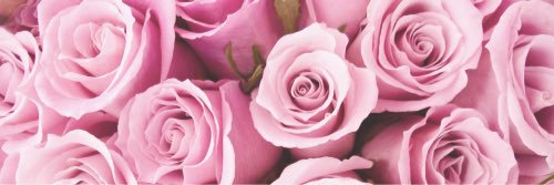 sharnajade1's profile banner image