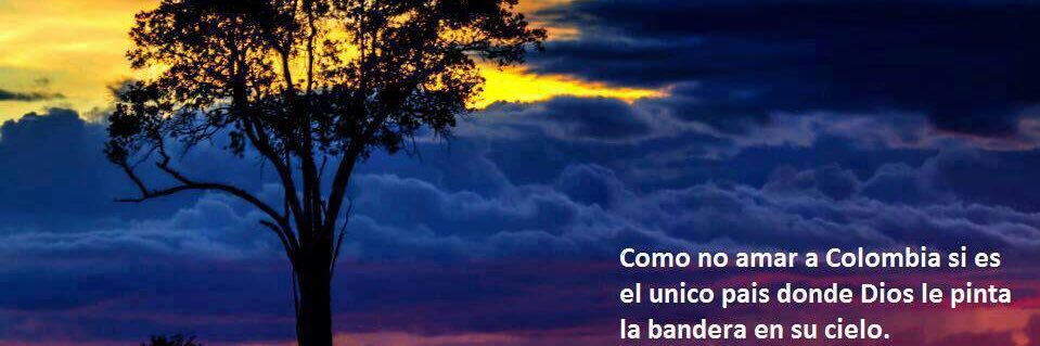 romapepo's profile banner image