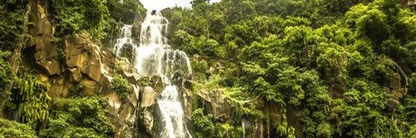 geeksdj's profile banner image
