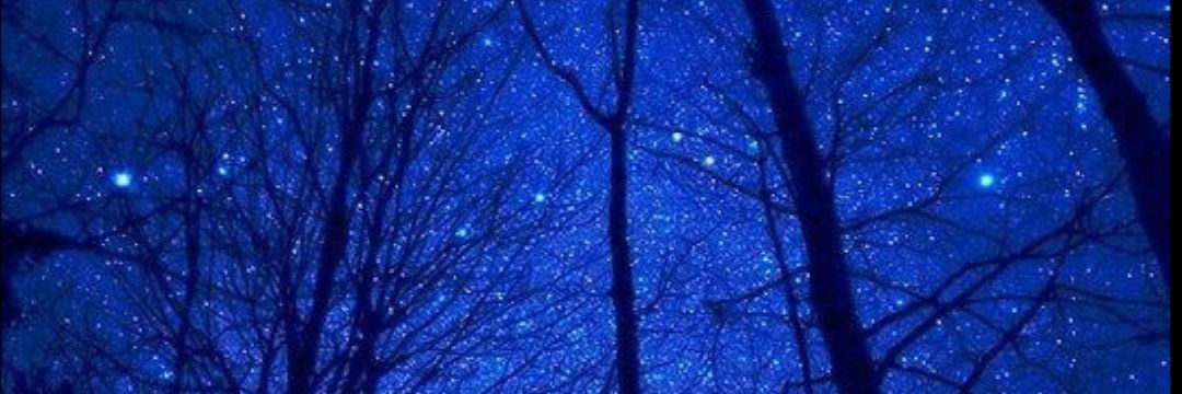 carmz_0115's profile banner image