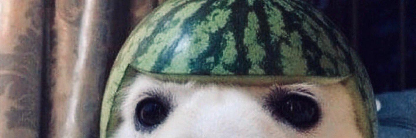 NickBerdomas's profile banner image