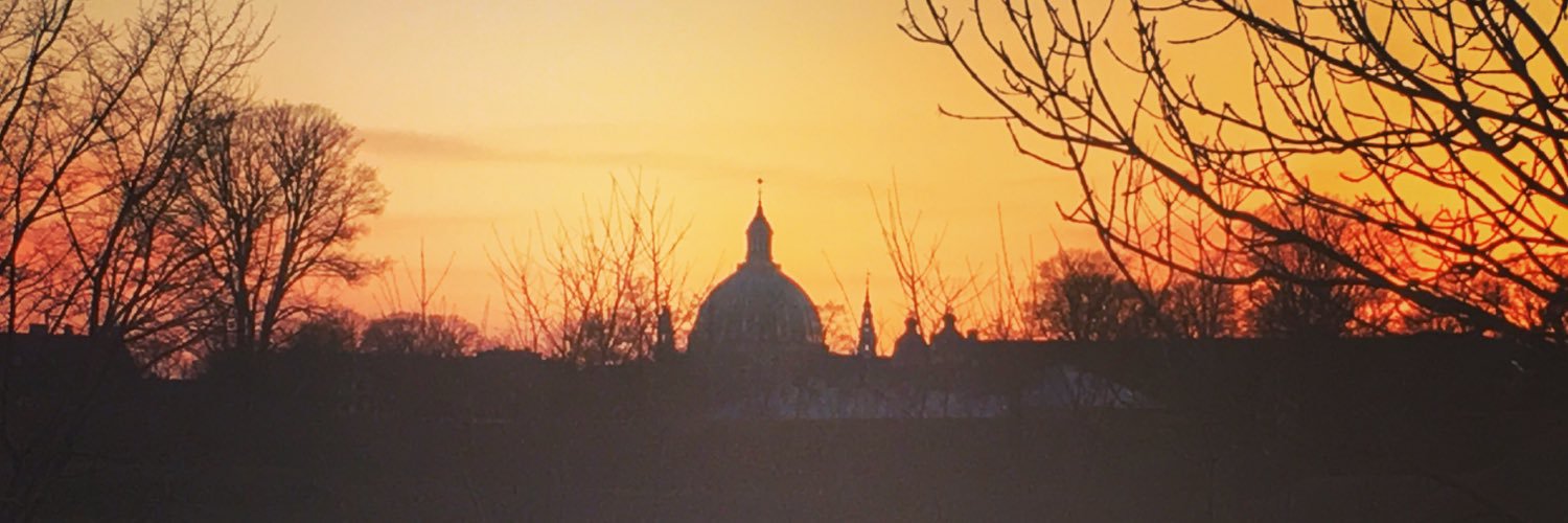 SBHSmissborg's profile banner image