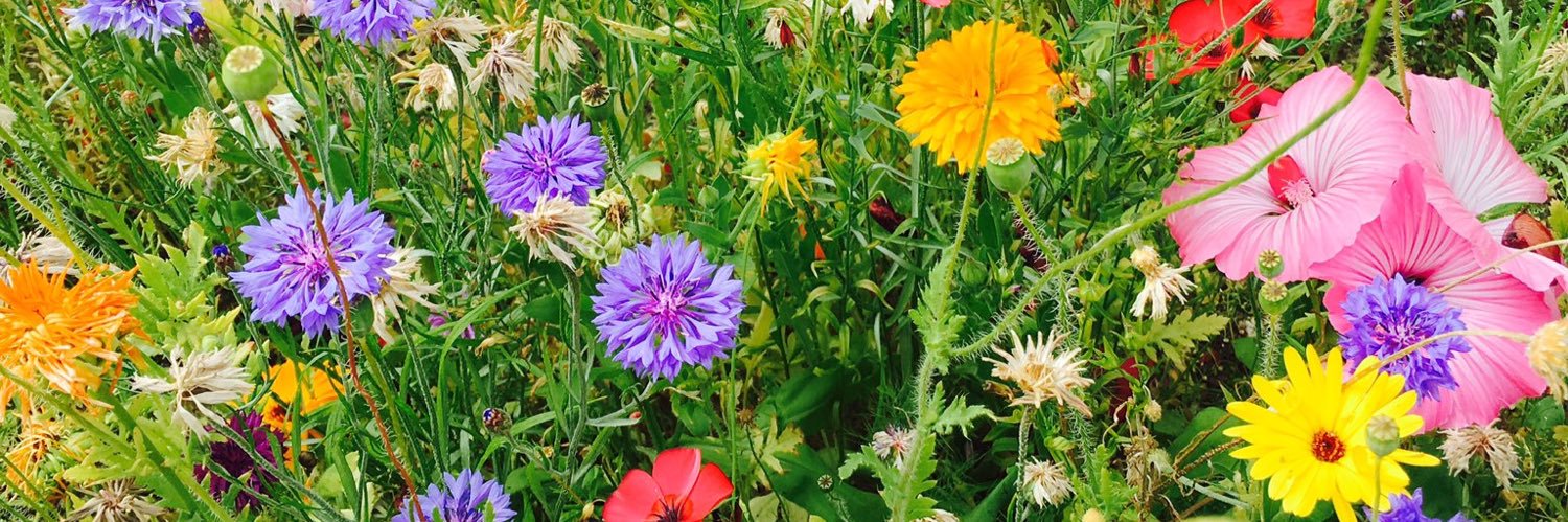 Scott M. Stanley banner