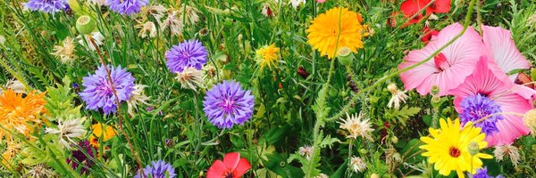 DecideOrSlide Profile Banner