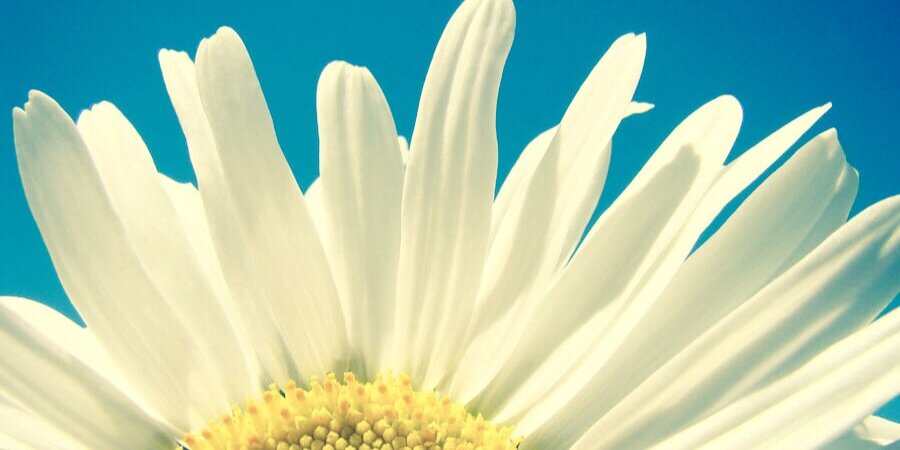 onezzzzzzz's profile banner image
