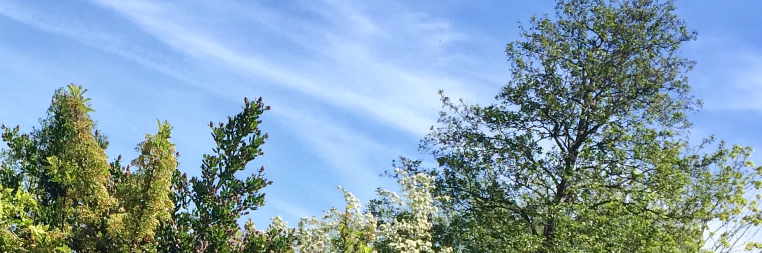 Deloozer's profile banner image