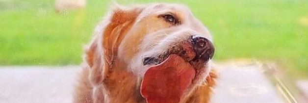 AOldies's profile banner image