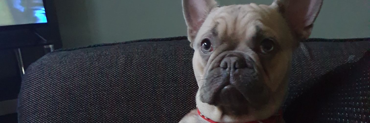 jodieeeb's profile banner image