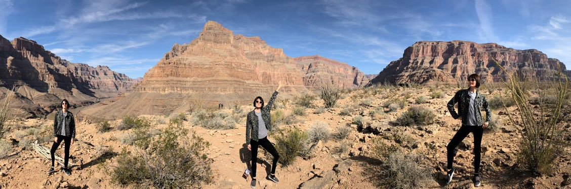 Rollo🐬🦄 banner