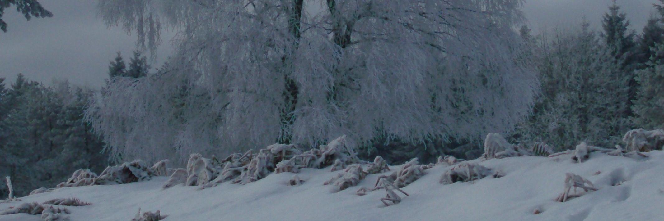 galoud3's profile banner image