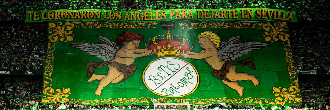 NOLO banner