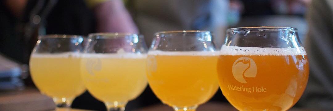 Watering Hole / Yoyogi Tokyo banner