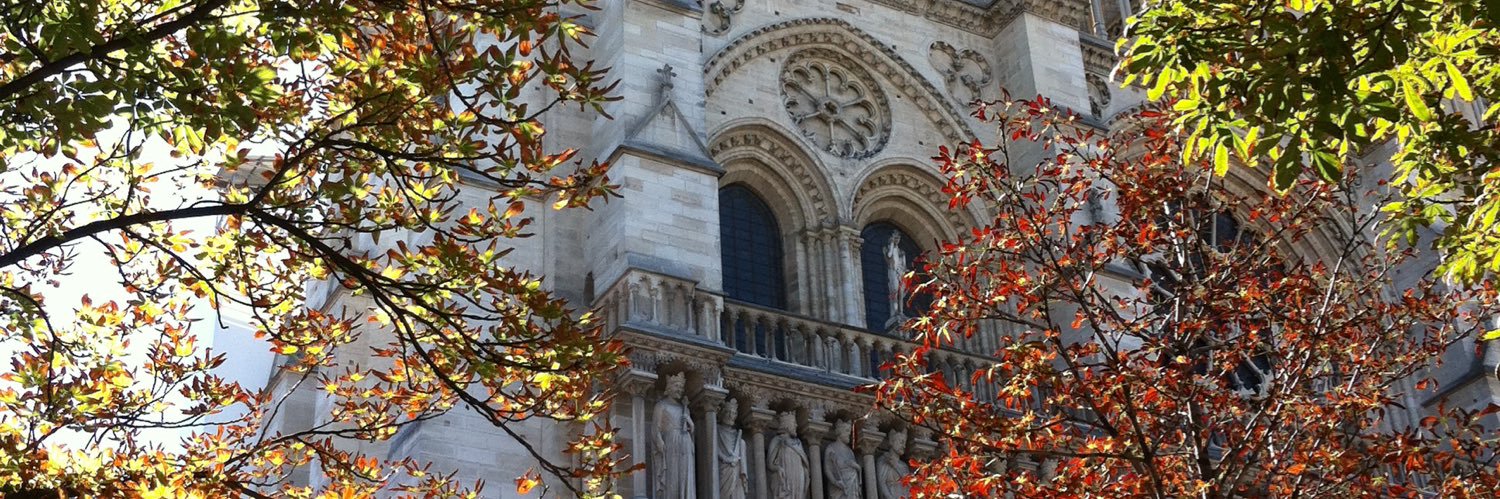 Franedi_Jesus's profile banner image