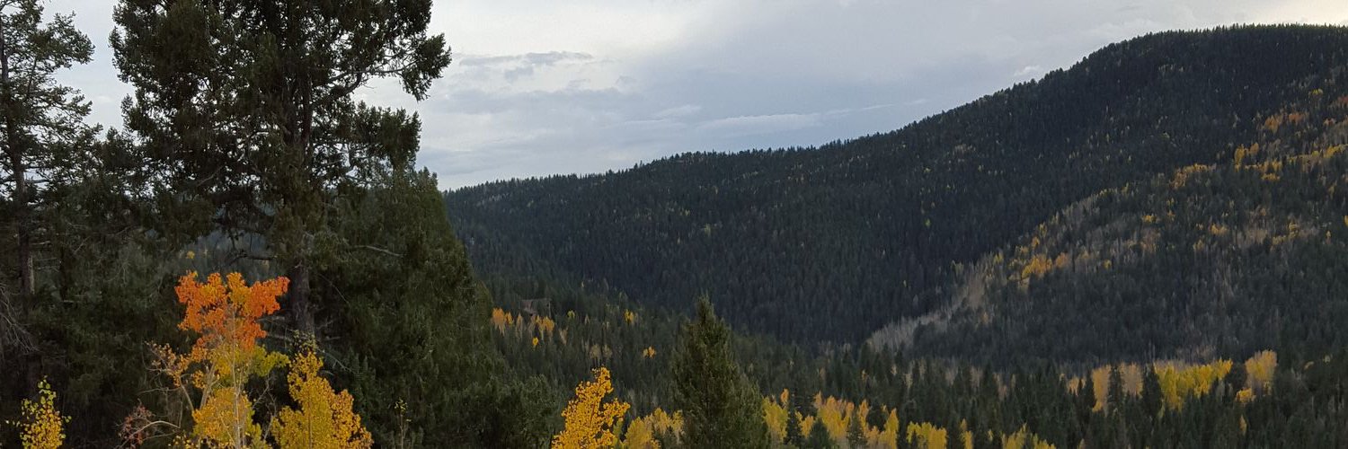 JKK81's profile banner image