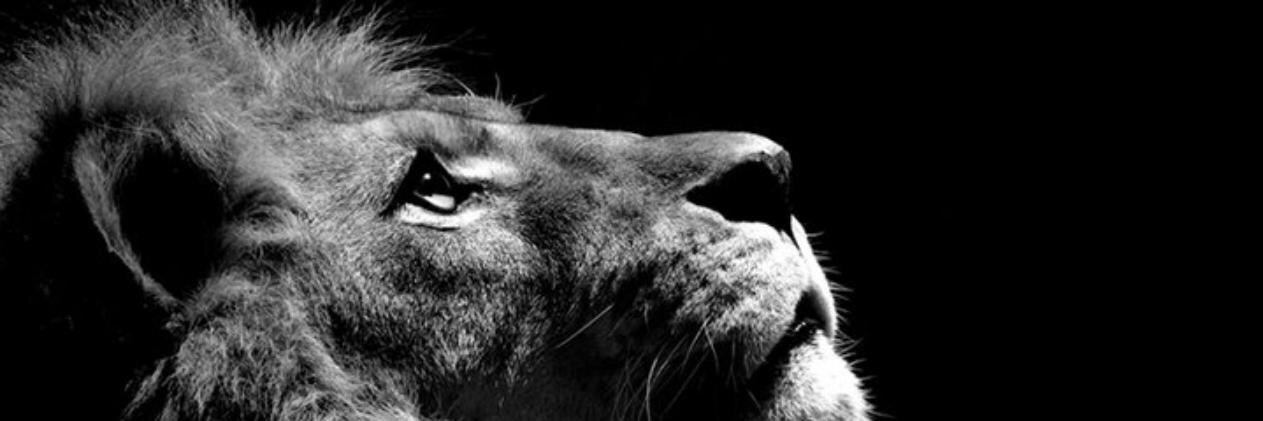 EdwincriolloR's profile banner image