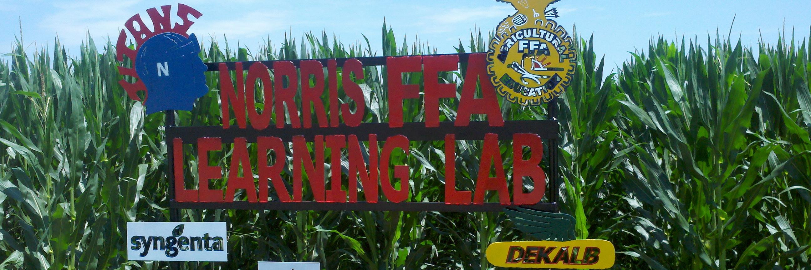 norris_ffa's profile banner image