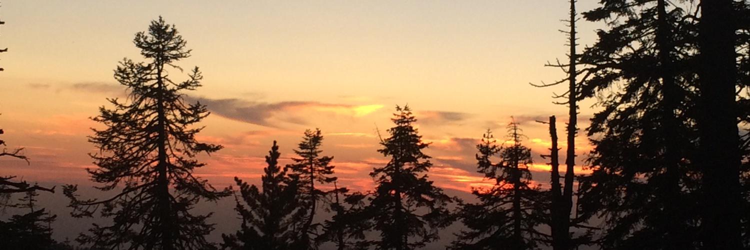 Deslee_'s profile banner image
