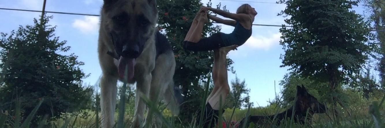 CodyScheidel's profile banner image