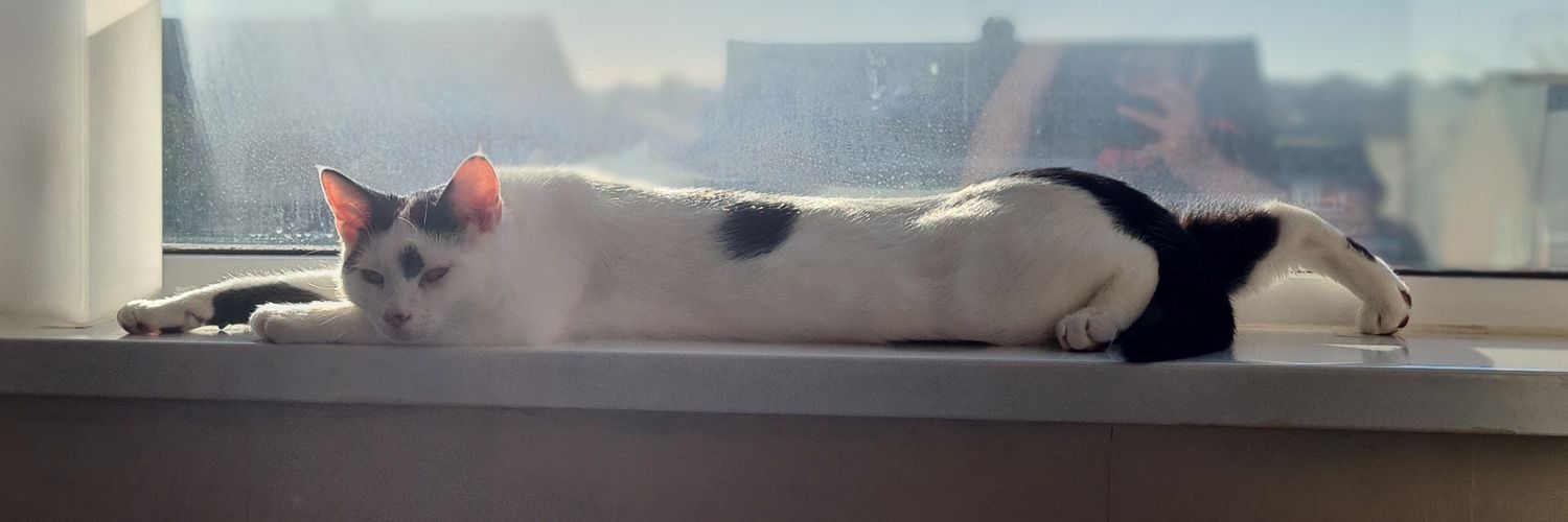 Jonnyish's profile banner image