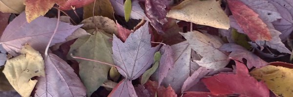 Popswithhops Profile Banner