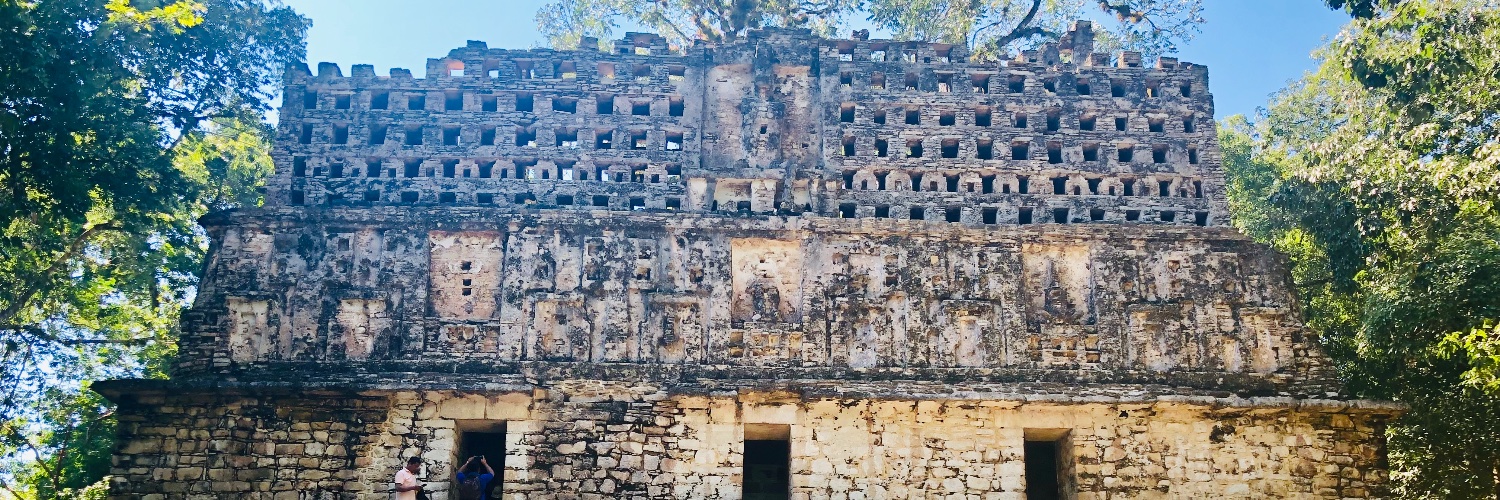 Manuel Rodríguez banner