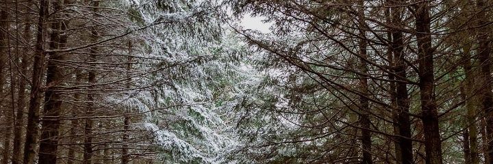 mohmmed19345's profile banner image