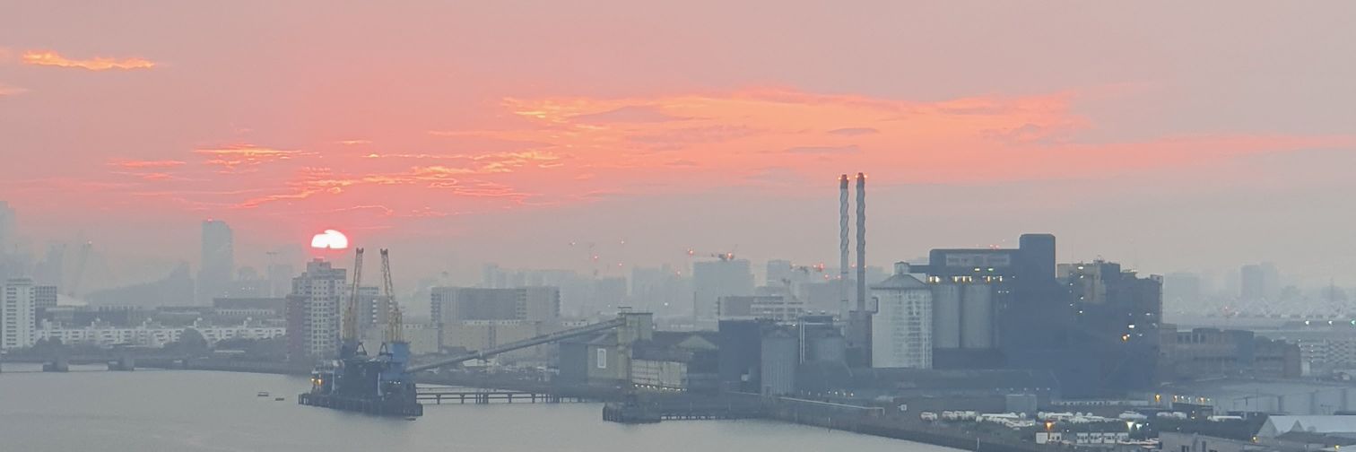 Ann Pilkington banner