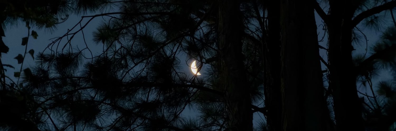 paulavjsj's profile banner image