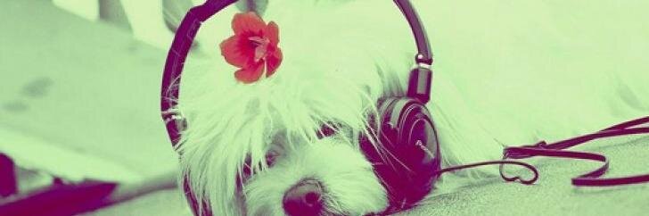 Bookworm282 banner
