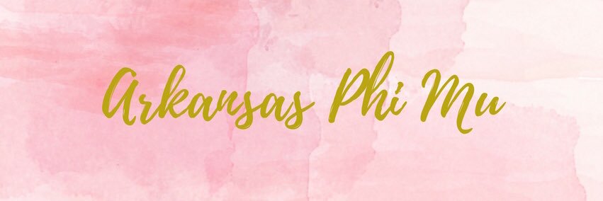 Arkansas Phi Mu banner