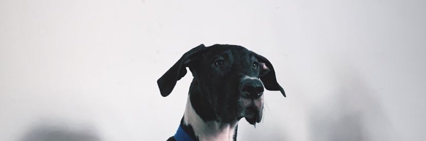 NoeeDeleo's profile banner image