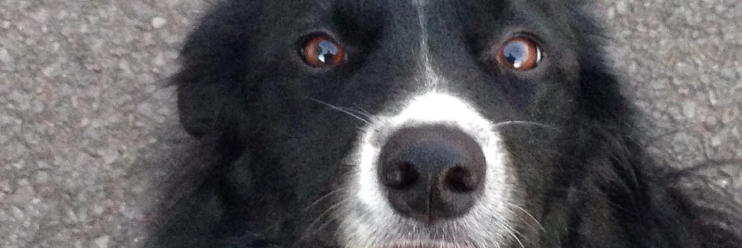 deanoow's profile banner image