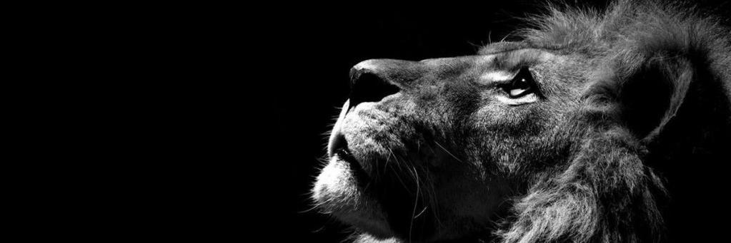 evamoli7g's profile banner image