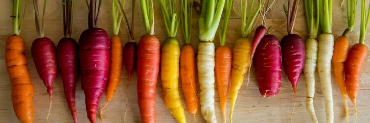 🥕🥕 Coco Pazzo 🥕🥕 banner