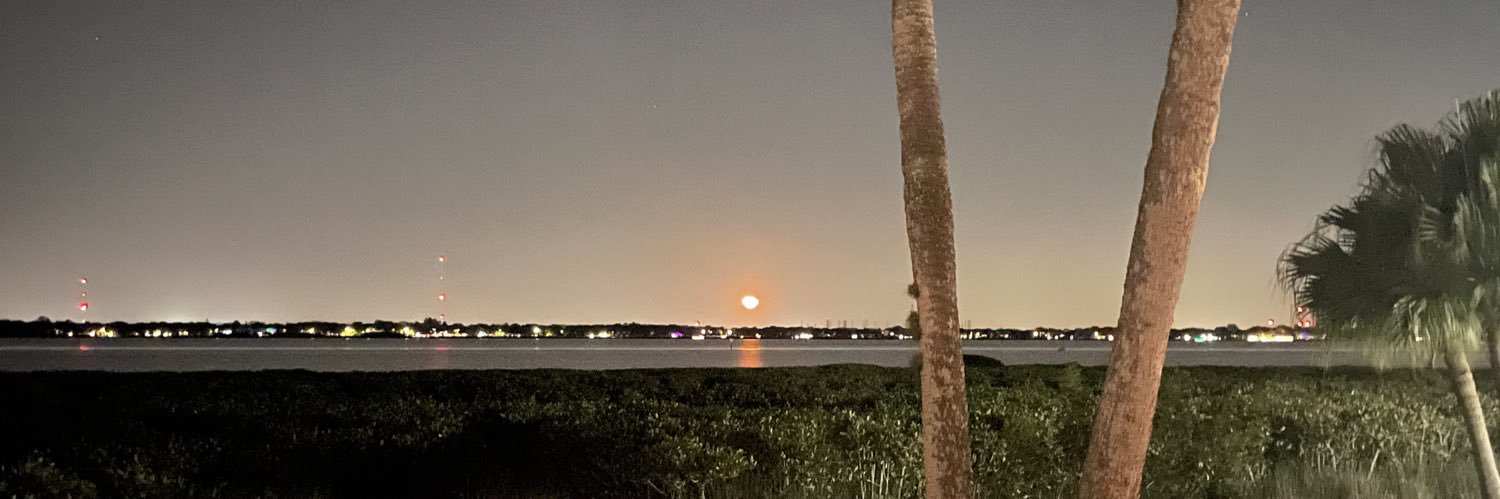 KrissyFuLu's profile banner image