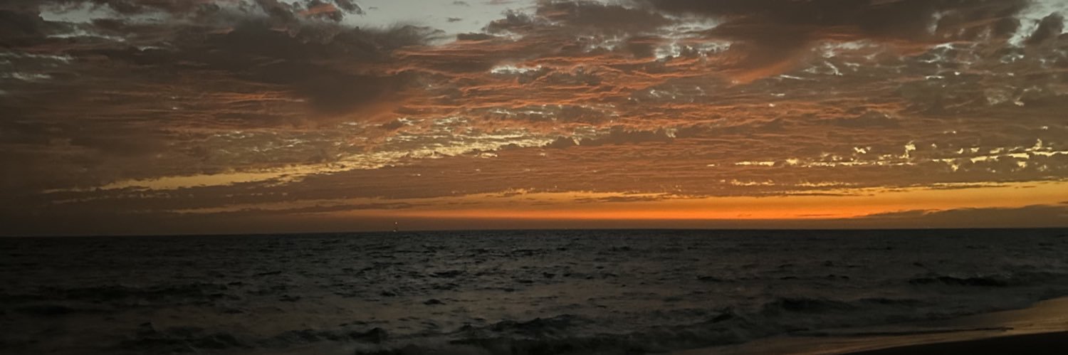 FernandaMirn's profile banner image
