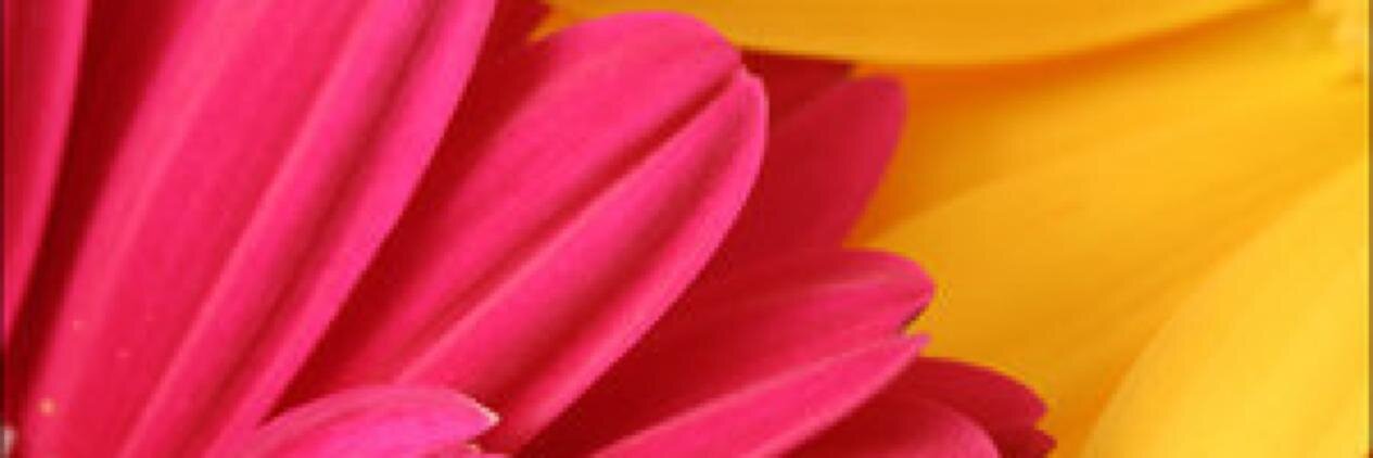 BKolar44's profile banner image