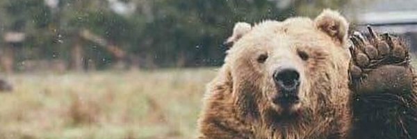 leo_genco Profile Banner