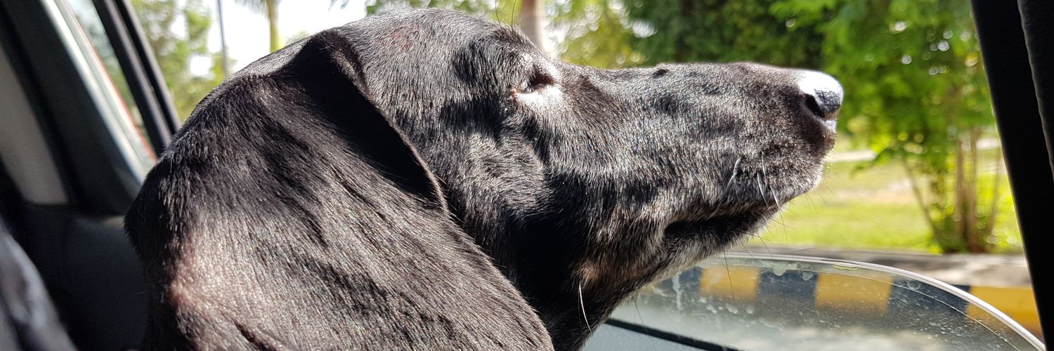 Sujith✨Game Dev 🕹️ banner